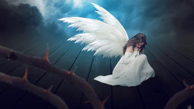 Fairy Wings Chrome Themes Themebeta - chrome fairy wings roblox