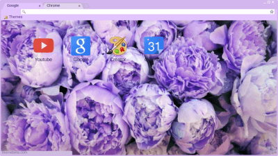 Pastel Purple Flower Aesthetic Chrome Themes Themebeta