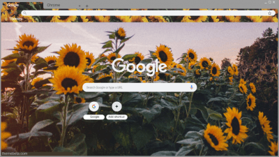 Sunflower Chrome Themes Themebeta