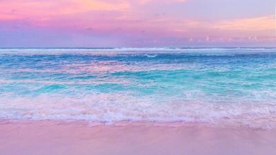 pink beaches. Windows Theme - ThemeBeta