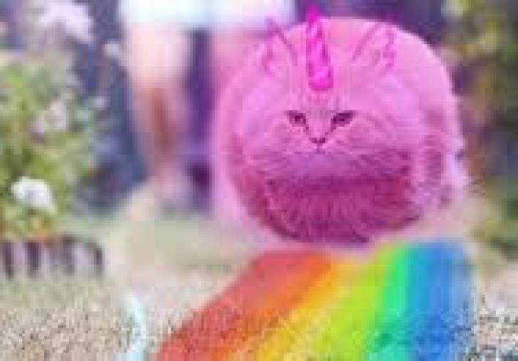 Dancing rainbows fluffy unicorns pink on Stream Pink