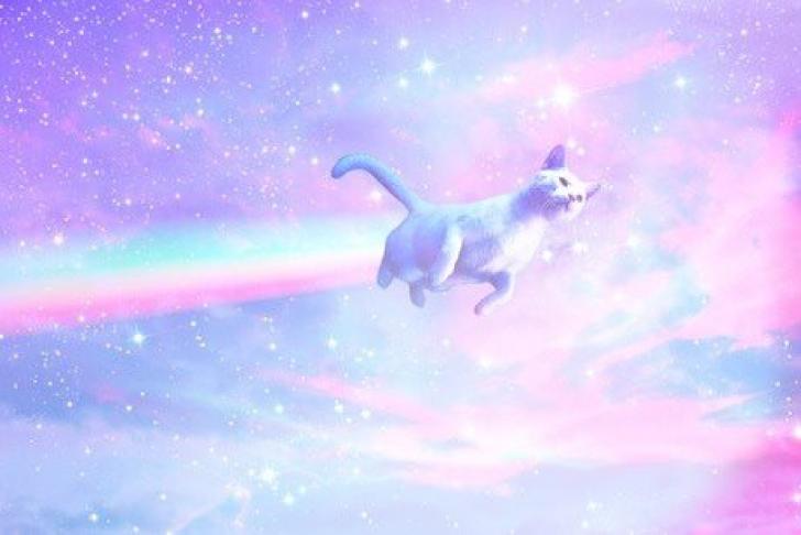 pastel galaxy cat ♡ Chrome Theme - ThemeBeta