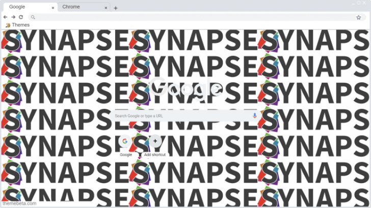 Synapse Exploit Chrome Theme Themebeta