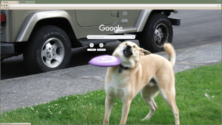 respekt ecstasy Pengeudlån Dog getting fit by a frisbee meme Chrome Theme - ThemeBeta
