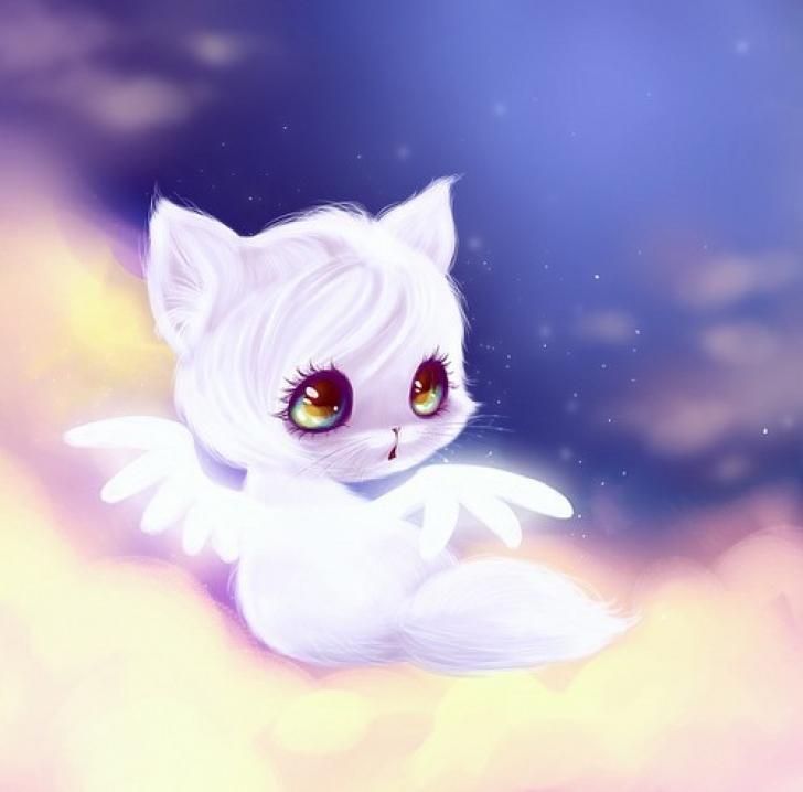 Anime Angel Cat Chrome Theme - ThemeBeta